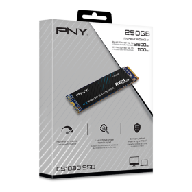 PNY SSD Interne CS1030 NVMe M.2 250GB